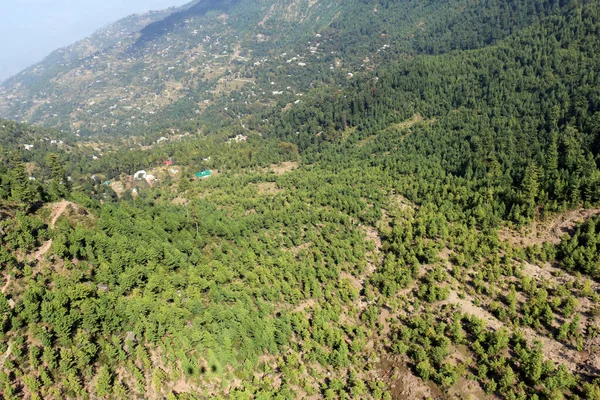 巴基斯坦旁遮普邦新默里绿松林与美丽的爱国景观 — 图库照片