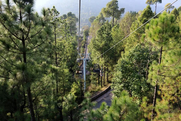 Gröna Tallar Skogslandskap Och Patriata Chairlift Nya Murree Punjab Pakistan — Stockfoto