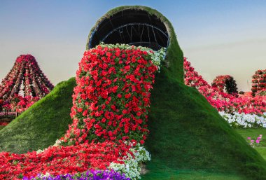 Güneşli bir günde 45 milyondan fazla çiçeğin bulunduğu Mucize Bahçesi 'nin Flourish Manzarası Dubai' de Çiçek Bahçesi, Uae