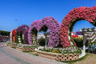 Güneşli bir günde 45 milyondan fazla çiçeğin bulunduğu Mucize Bahçesi 'nin Flourish Manzarası Dubai' de Çiçek Bahçesi, Uae