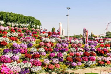 Güneşli bir günde 45 milyondan fazla çiçeğin bulunduğu Mucize Bahçesi 'nin Flourish Manzarası Dubai' de Çiçek Bahçesi, Uae
