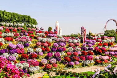 Güneşli bir günde 45 milyondan fazla çiçeğin bulunduğu Mucize Bahçesi 'nin Flourish Manzarası Dubai' de Çiçek Bahçesi, Uae