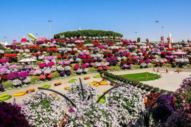 Güneşli bir günde 45 milyondan fazla çiçeğin bulunduğu Mucize Bahçesi 'nin Flourish Manzarası Dubai' de Çiçek Bahçesi, Uae