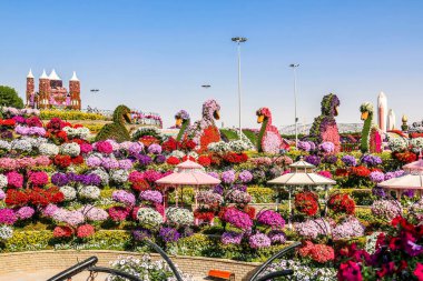 Güneşli bir günde 45 milyondan fazla çiçeğin bulunduğu Mucize Bahçesi 'nin Flourish Manzarası Dubai' de Çiçek Bahçesi, Uae