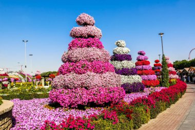 Güneşli bir günde 45 milyondan fazla çiçeğin bulunduğu Mucize Bahçesi 'nin Flourish Manzarası Dubai' de Çiçek Bahçesi, Uae