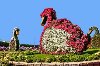 Güneşli bir günde 45 milyondan fazla çiçeğin bulunduğu Mucize Bahçesi 'nin Flourish Manzarası Dubai' de Çiçek Bahçesi, Uae