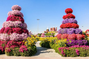 Güneşli bir günde 45 milyondan fazla çiçeğin bulunduğu Mucize Bahçesi 'nin Flourish Manzarası Dubai' de Çiçek Bahçesi, Uae