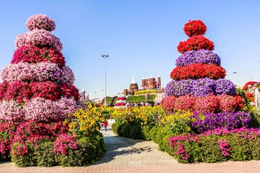 Güneşli bir günde 45 milyondan fazla çiçeğin bulunduğu Mucize Bahçesi 'nin Flourish Manzarası Dubai' de Çiçek Bahçesi, Uae