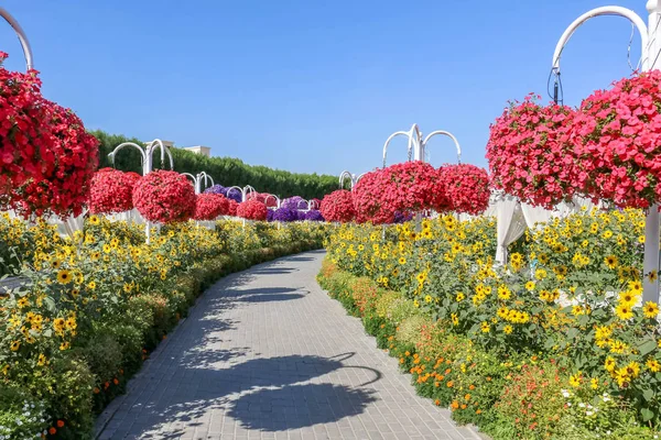 Linda Paisagem Florescente Miracle Garden Com Mais Milhões Flores Dia — Fotografia de Stock