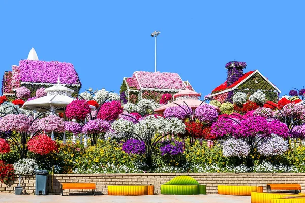 Linda Paisagem Florescente Miracle Garden Com Mais Milhões Flores Dia — Fotografia de Stock