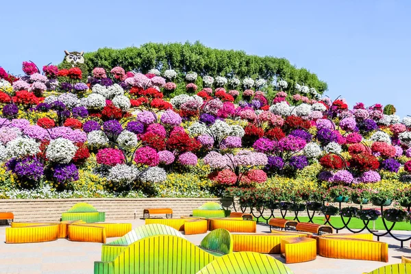 Hermoso Paisaje Florecido Miracle Garden Con Más Millones Flores Día —  Fotos de Stock