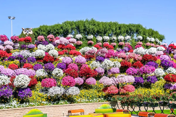 Güneşli Bir Günde Milyondan Fazla Çiçeğin Bulunduğu Mucize Bahçesi Nin — Stok fotoğraf