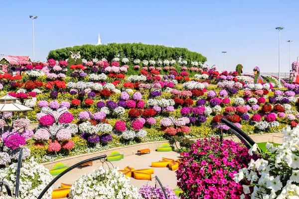 Linda Paisagem Florescente Miracle Garden Com Mais Milhões Flores Dia — Fotografia de Stock