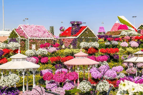 Hermoso Paisaje Florecido Miracle Garden Con Más Millones Flores Día — Foto de Stock