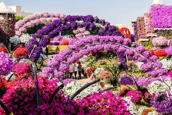 Wunderschöne Blühende Landschaft Des Wundergartens Mit Über Millionen Blumen Einem — Stockfoto