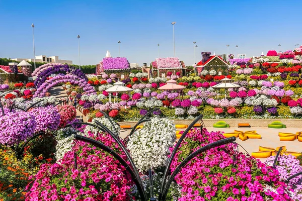 Linda Paisagem Florescente Miracle Garden Com Mais Milhões Flores Dia — Fotografia de Stock