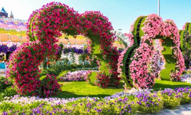 Güneşli bir günde 45 milyondan fazla çiçeğin bulunduğu Mucize Bahçesi 'nin Flourish Manzarası Dubai' de Çiçek Bahçesi, Uae