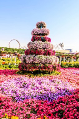Güneşli bir günde 45 milyondan fazla çiçeğin bulunduğu Mucize Bahçesi 'nin Flourish Manzarası Dubai' de Çiçek Bahçesi, Uae