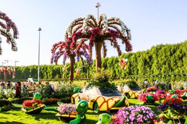 Güneşli bir günde 45 milyondan fazla çiçeğin bulunduğu Mucize Bahçesi 'nin Flourish Manzarası Dubai' de Çiçek Bahçesi, Uae