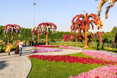 Güneşli bir günde 45 milyondan fazla çiçeğin bulunduğu Mucize Bahçesi 'nin Flourish Manzarası Dubai' de Çiçek Bahçesi, Uae