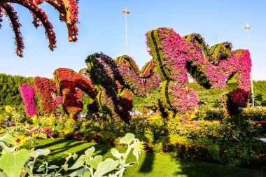 Güneşli bir günde 45 milyondan fazla çiçeğin bulunduğu Mucize Bahçesi 'nin Flourish Manzarası Dubai' de Çiçek Bahçesi, Uae