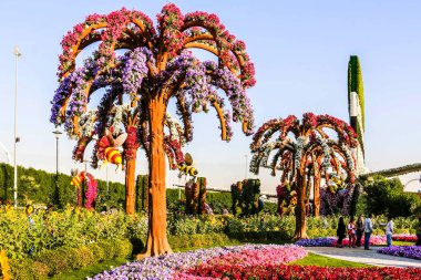 Güneşli bir günde 45 milyondan fazla çiçeğin bulunduğu Mucize Bahçesi 'nin Flourish Manzarası Dubai' de Çiçek Bahçesi, Uae