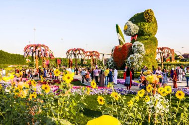 Güneşli bir günde 45 milyondan fazla çiçeğin bulunduğu Mucize Bahçesi 'nin Flourish Manzarası Dubai' de Çiçek Bahçesi, Uae