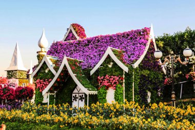 Güneşli bir günde 45 milyondan fazla çiçeğin bulunduğu Mucize Bahçesi 'nin Flourish Manzarası Dubai' de Çiçek Bahçesi, Uae