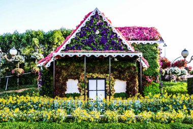 Güneşli bir günde 45 milyondan fazla çiçeğin bulunduğu Mucize Bahçesi 'nin Flourish Manzarası Dubai' de Çiçek Bahçesi, Uae