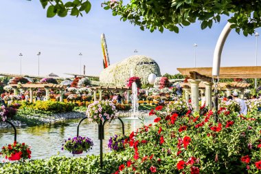 Güneşli bir günde 45 milyondan fazla çiçeğin bulunduğu Mucize Bahçesi 'nin Flourish Manzarası Dubai' de Çiçek Bahçesi, Uae