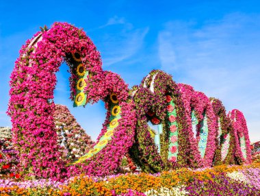 Güneşli bir günde 45 milyondan fazla çiçeğin bulunduğu Mucize Bahçesi 'nin Flourish Manzarası Dubai' de Çiçek Bahçesi, Uae