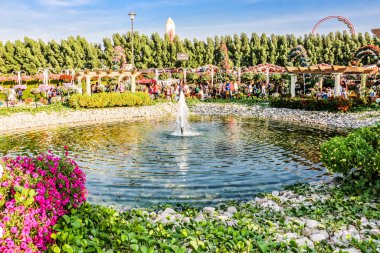 Güneşli bir günde 45 milyondan fazla çiçeğin bulunduğu Mucize Bahçesi 'nin Flourish Manzarası Dubai' de Çiçek Bahçesi, Uae