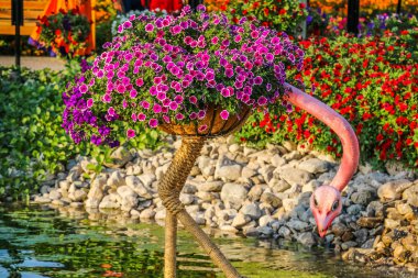 Güneşli bir günde 45 milyondan fazla çiçeğin bulunduğu Mucize Bahçesi 'nin Flourish Manzarası Dubai' de Çiçek Bahçesi, Uae