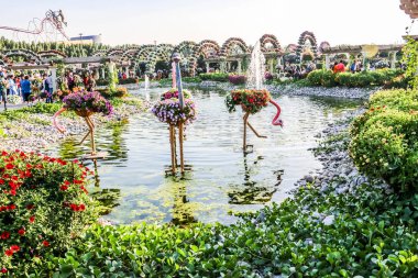 Güneşli bir günde 45 milyondan fazla çiçeğin bulunduğu Mucize Bahçesi 'nin Flourish Manzarası Dubai' de Çiçek Bahçesi, Uae