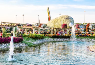 Güneşli bir günde 45 milyondan fazla çiçeğin bulunduğu Mucize Bahçesi 'nin Flourish Manzarası Dubai' de Çiçek Bahçesi, Uae