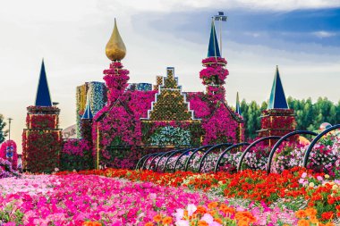 Güneşli bir günde 45 milyondan fazla çiçeğin bulunduğu Mucize Bahçesi 'nin Flourish Manzarası Dubai' de Çiçek Bahçesi, Uae