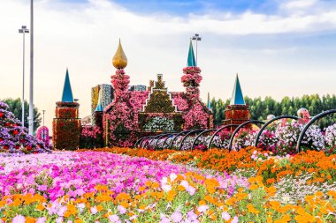 Güneşli bir günde 45 milyondan fazla çiçeğin bulunduğu Mucize Bahçesi 'nin Flourish Manzarası Dubai' de Çiçek Bahçesi, Uae
