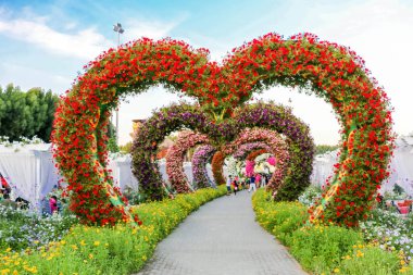 Güneşli bir günde 45 milyondan fazla çiçeğin bulunduğu Mucize Bahçesi 'nin Flourish Manzarası Dubai' de Çiçek Bahçesi, Uae