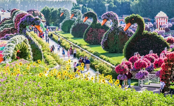 Güneşli bir günde 45 milyondan fazla çiçeğin bulunduğu Mucize Bahçesi 'nin Flourish Manzarası Dubai' de Çiçek Bahçesi, Uae