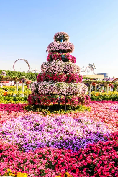 Linda Paisagem Florescente Miracle Garden Com Mais Milhões Flores Dia — Fotografia de Stock