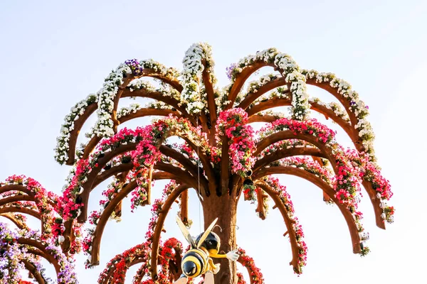 Цветочный Сад Дубае Миллионами Цветов Солнечный День Оаэ — стоковое фото