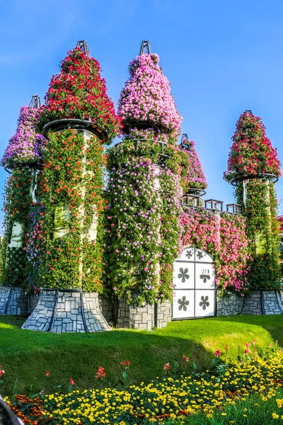 晴れた日には4500万本以上の花を咲かせる奇跡の庭の美しい花々 ドバイのフラワーガーデン — ストック写真