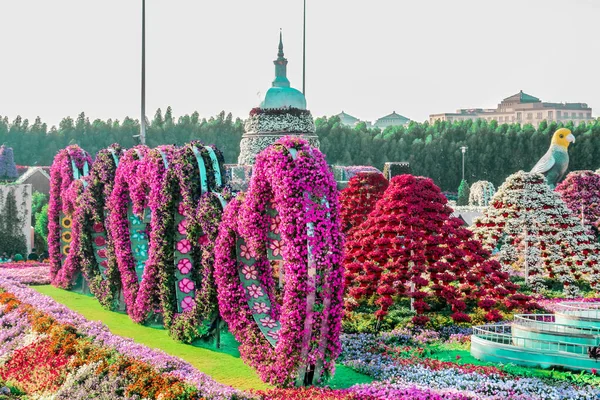 Hermoso Paisaje Florecido Miracle Garden Con Más Millones Flores Día — Foto de Stock