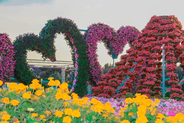 Vackra Blomstra Landskap Mirakel Trädgård Med Över Miljoner Blommor Solig — Stockfoto