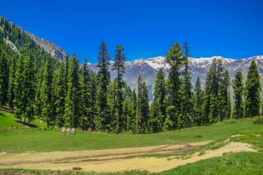 Lalazar 'ın Naran Vadisi, Mansehra Bölgesi, Khyber-Pakhtunkhwa, Pakistan' ın kuzey bölgelerindeki güzel manzarası.