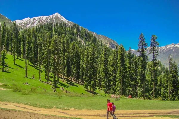 Όμορφη Θέα Της Ορεινής Lalazar Στο Naran Valley Mansehra District — Φωτογραφία Αρχείου