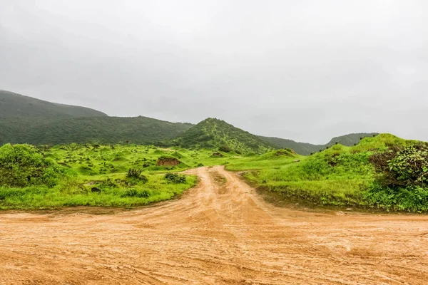 Lush Green Landscape Trees Foggy Mountains Ayn Khor Tourist Resort — Stock Photo, Image