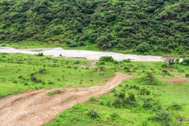 Ayn Khor turizm beldesinde yemyeşil manzara, ağaçlar ve sisli dağlar, Salalah, Umman