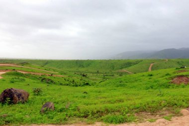 Ayn Khor turizm beldesinde yemyeşil manzara, ağaçlar ve sisli dağlar, Salalah, Umman