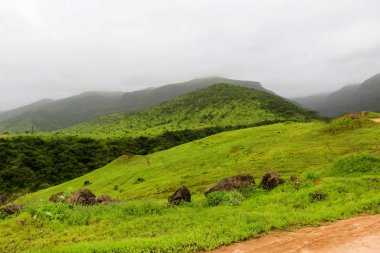 Lush green landscape, trees and foggy mountains in Ayn Khor tourist resort, Salalah, Oman clipart